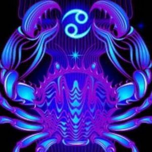 Meet your Posher, California